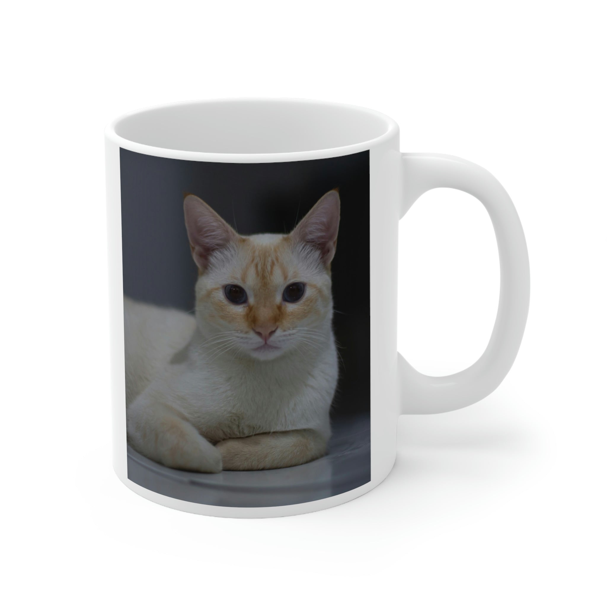Cat -Ceramic Mug 11oz