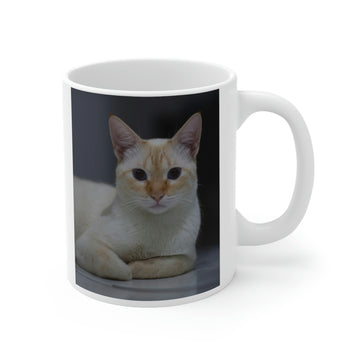 Cat -Ceramic Mug 11oz